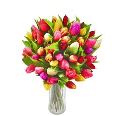Bouquet of tulips