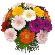 Bouquet of gerberas Bouquet of gerberas