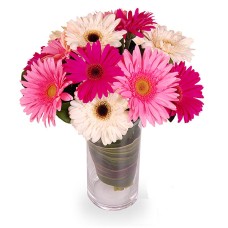 Flower Bouquet Ballade