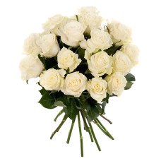 White Roses in a bunch