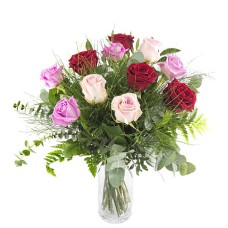 12 multicoloured roses 12 multicoloured roses