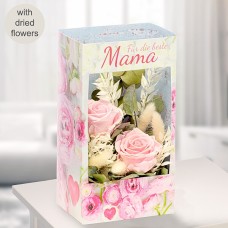 Flowers in a window box 
