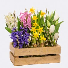 Colourful Mix in wooden box