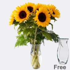 Bunch of 7 sunflowers with Vase