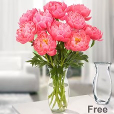 Wonderful peonies in a bunch with Vase - 10 peonies