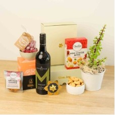 Red Wine & Money Tree Hamper