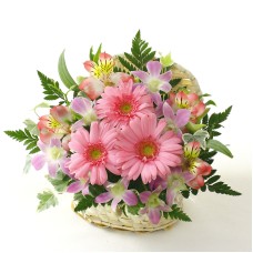 White basket pink