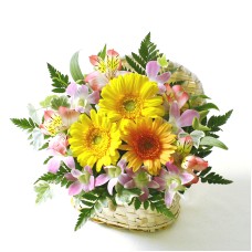 White Basket Warm Colors