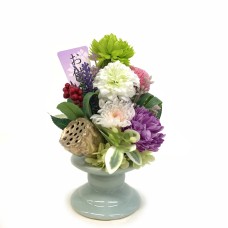 Preserved Arrangement Famille