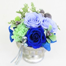 Preserved Arrangement Courage