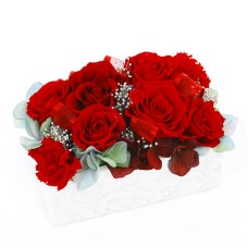 Preserved Arrangement Tantasion