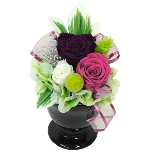 Preserved Arrangement Lira