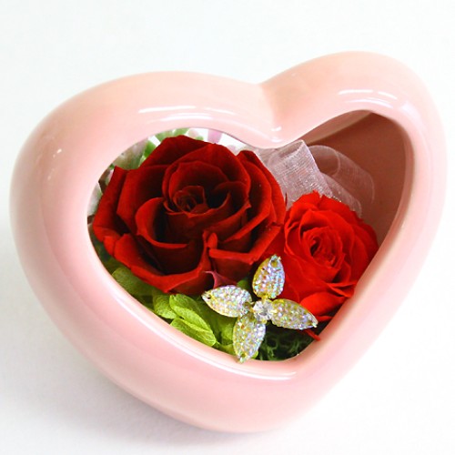 Preserved Arrangement Eliza