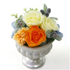 Preserved Arrangement Amitie