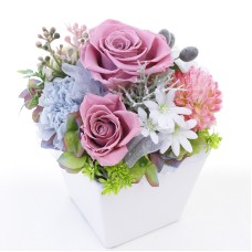 Preserved Arrange Jeunesse