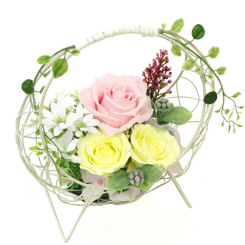 Preserved Arrangement Fontaine
