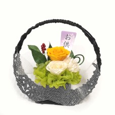 Preserved Arrangement/Sho