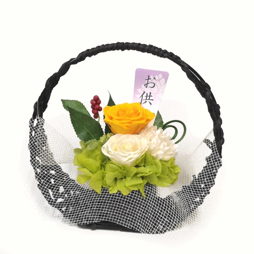 Preserved Arrangement/Sho
