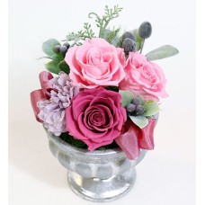 Preserved Arrange Purte