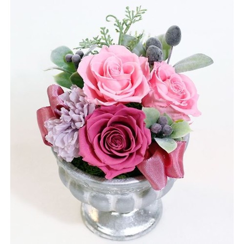 Preserved Arrange Purte