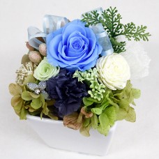 Preserved Arrange Grand Bleu