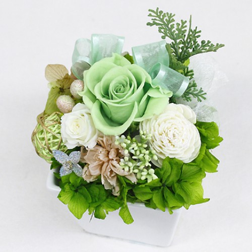Preserved Arrangement Grand Vert