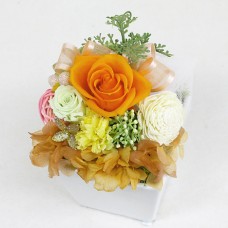 Preserved Arrangement Grand Orange
