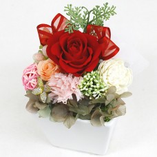 Preserved Arrangement Grand Rouge