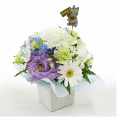Pet offering arrangement
Petit (petit) with cat pick