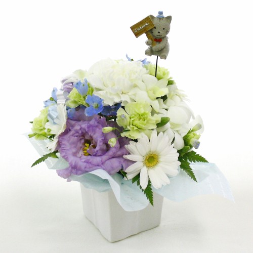 Pet offering arrangement
Petit (petit) with cat pick