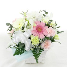 Petit offering arrangement for pets