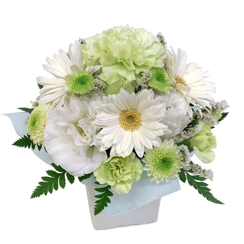 Petit offering arrangement for pets