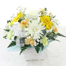 Petit offering arrangement for pets