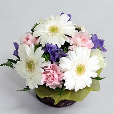 Seasonal Assortment Arrangement Vanilla Seasonal Assortment Arrangement Vanilla