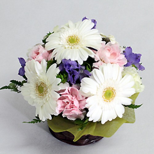 Seasonal Assortment Arrangement Vanilla