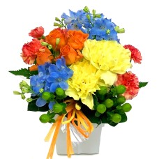 Arrangement B for June