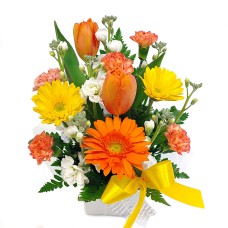 February Arrangement A