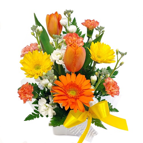 February Arrangement A