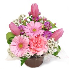 February Arrangement B