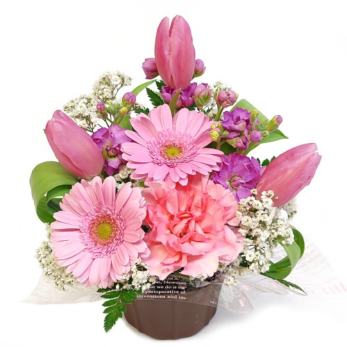 February Arrangement B