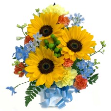 Entrusted Arrangement / Cutie