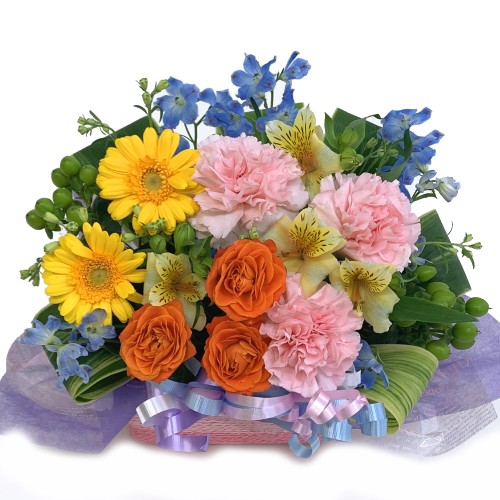 June Arrange Deluxe
