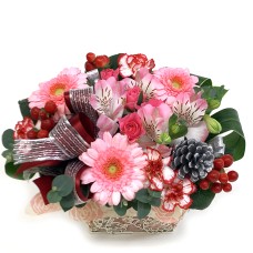 December Arrange Deluxe