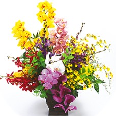 Gorgeous orchid arrangement super deluxe
