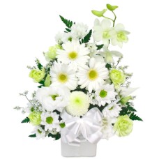 Offering Arrangement (Omakase Standard) White