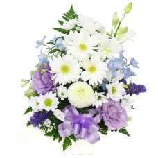 white & purple