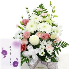 Offering Arrangement (Omakase Standard) + Incense stick "Yume no Yume"