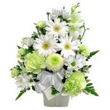 White & green
