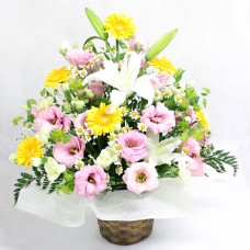 arrangement harmony