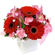 Custom Arrangement - Lovely -Round Red Pink